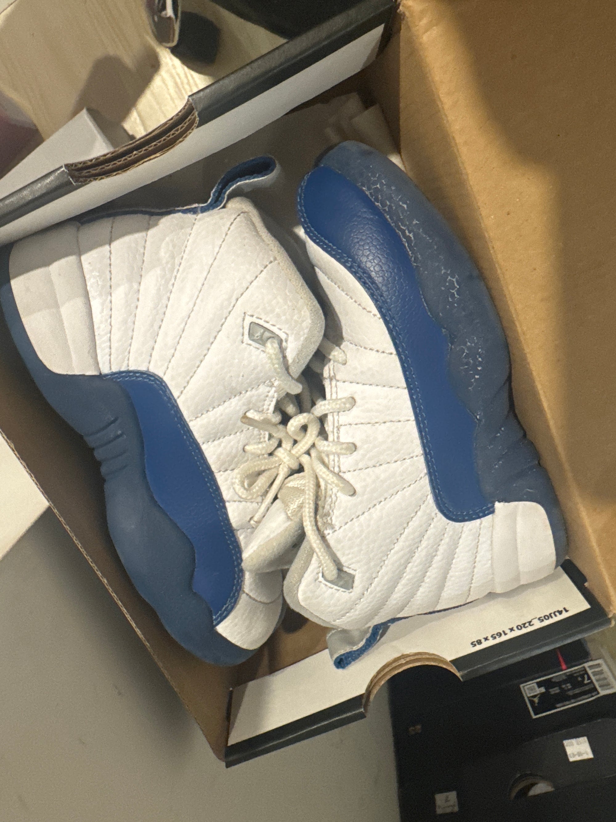 Size 10.5 PreOwned Jordan 12